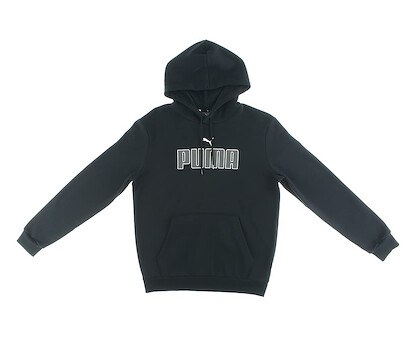 PUMA mens Essentials Big Logo Fleece Hoodie Hooded Sweatshirt, Medium Gray Heather,