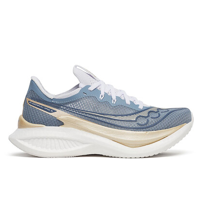 Saucony Women's Endorphin Pro 5 Storm/Gilded Running Shoes - S11064-142
